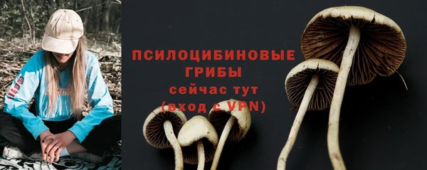 гидропоника Вяземский