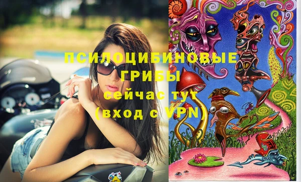амфетамин Гусь-Хрустальный