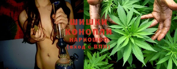 гидропоника Вяземский